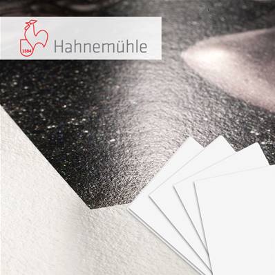 HAHNEMUHLE Papier Fine Art Photo Rag Metallic 340g A3+ 25 feuilles