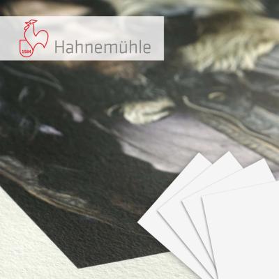 HAHNEMUHLE FineArt Natural Line Agave 290g A3 25f.