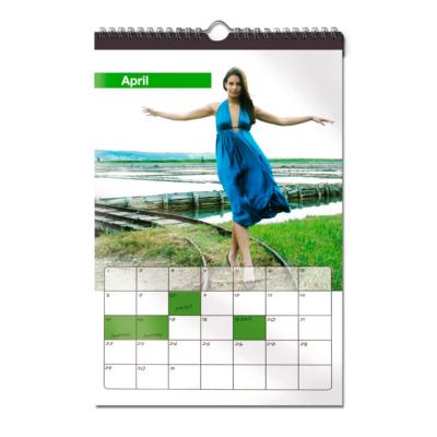 UNIBIND Unicalendar Pro 20x25cm Vendu par 10