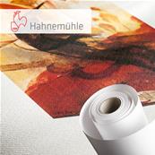 HAHNEMUHLE Papier Fine Art Albrecht Drer 210g 17"(43,2cm) x 12m