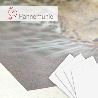 HAHNEMUHLE FineArt Natural Line Bamboo 290g A4 25f.