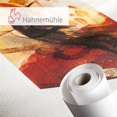 HAHNEMUHLE Papier Fine Art Albrecht Dürer 210g 24"(61cm) x 12m