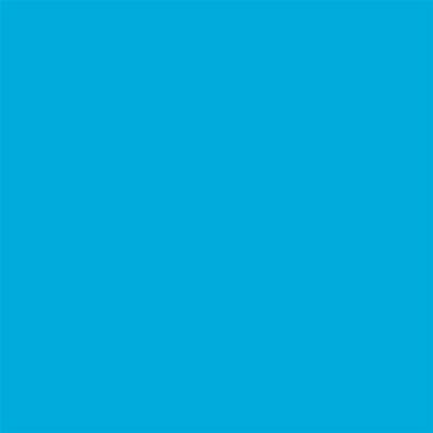 EPSON Encre T5802 Cyan (C) pour 3800/3880 Pro 80ml