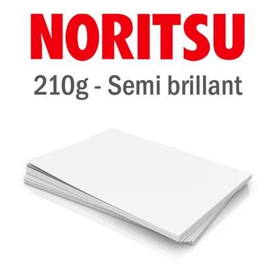 NORITSU Papier 210g Semi-brillant 10.2x16.2 cm Recto Verso 