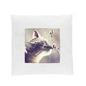 TAIE DE COUSSIN Blanc 40X40cmVendu par 10