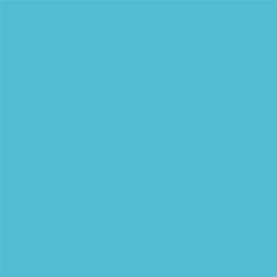 EPSON Encre T6035 Cyan Clair pour SP-7800/7880/9800/9880  220ml