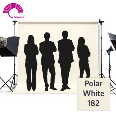 COLORAMA Fond Photo Studio Polar White 182 - 2,72x11m